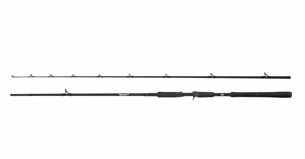 Abu Garcia BEAST Pike 862XXH 50-200g Casting