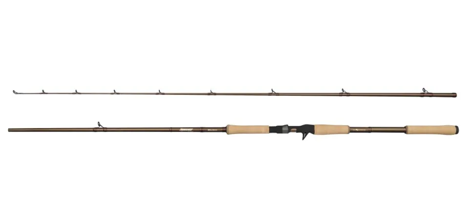 Abu Garcia BEAST PRO2 802 H Casting 2.44m 30-110g 2Sec
