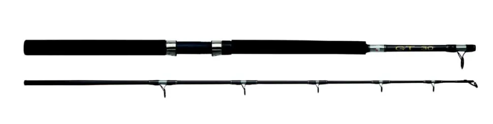Abu Garcia GT 602 +30lb BOAT