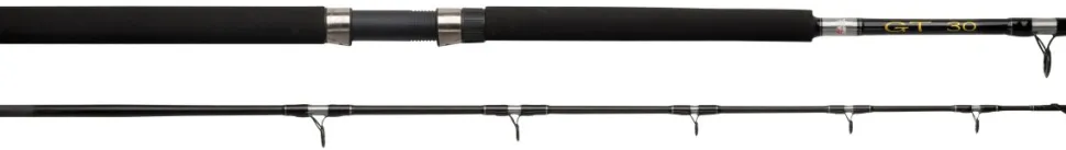 Abu Garcia GT ROD GT 702 15LBS TROLLING