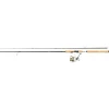 Abu Garcia Max Pro Spinning Combo 602ML 1,83m 5-20g + Max Pro SP20 Rolle