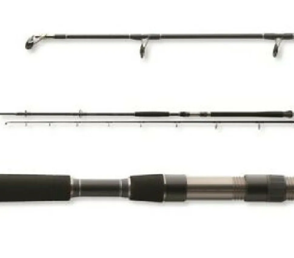 Angelspezi Catfish Wallerrute 3,30m 500g Welsangel