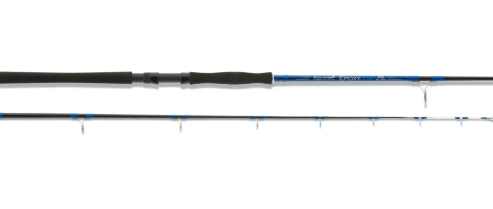 Aquantic Epoxy Tip 2,40m / 80-240g Pilkrute Meeresrute
