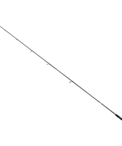 Bullseye Coastguard 310 10-45g 3,10m Meerforellenrute Salzwasser Spinnrute