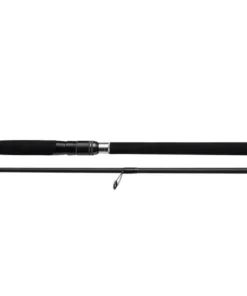 Bullseye Coastguard 310 10-45g 3,10m Meerforellenrute Salzwasser Spinnrute
