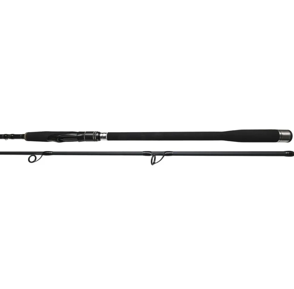 Bullseye Dentist Spin 255 50-145g 2,55m Spinnrute Bigbait Hecht, Wels