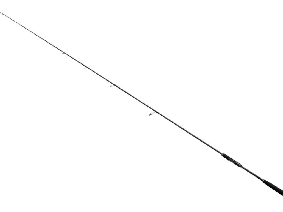 Bullseye Jig Whip 2.0 255 30-60g 2,55m Zanderrute