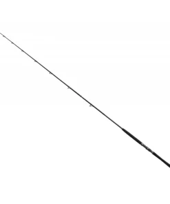 Bullseye Nazgul 260 30lbs Wallerrute 2,60m Ansitz