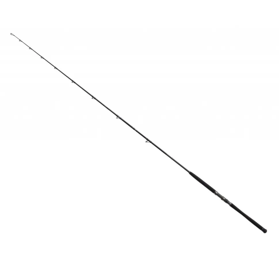 Bullseye Nazgul 260 30lbs Wallerrute 2,60m Ansitz