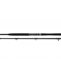 Bullseye Nazgul 300 LR 40lbs Wallerrute Ansitz