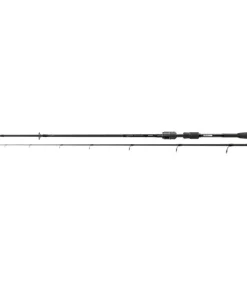 Corman GTR 2,25m 50-180 Spinnrute Hechtrute
