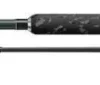 Cormoran Big Cat Long Range 3.30m 200-600g Wels Wallerrute Boje