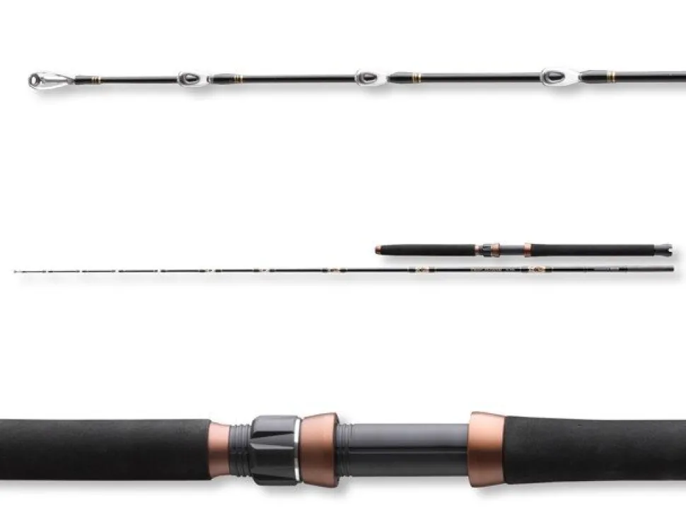 Cormoran Seacor Deep Power 2,35m 200-600g Bootsrute