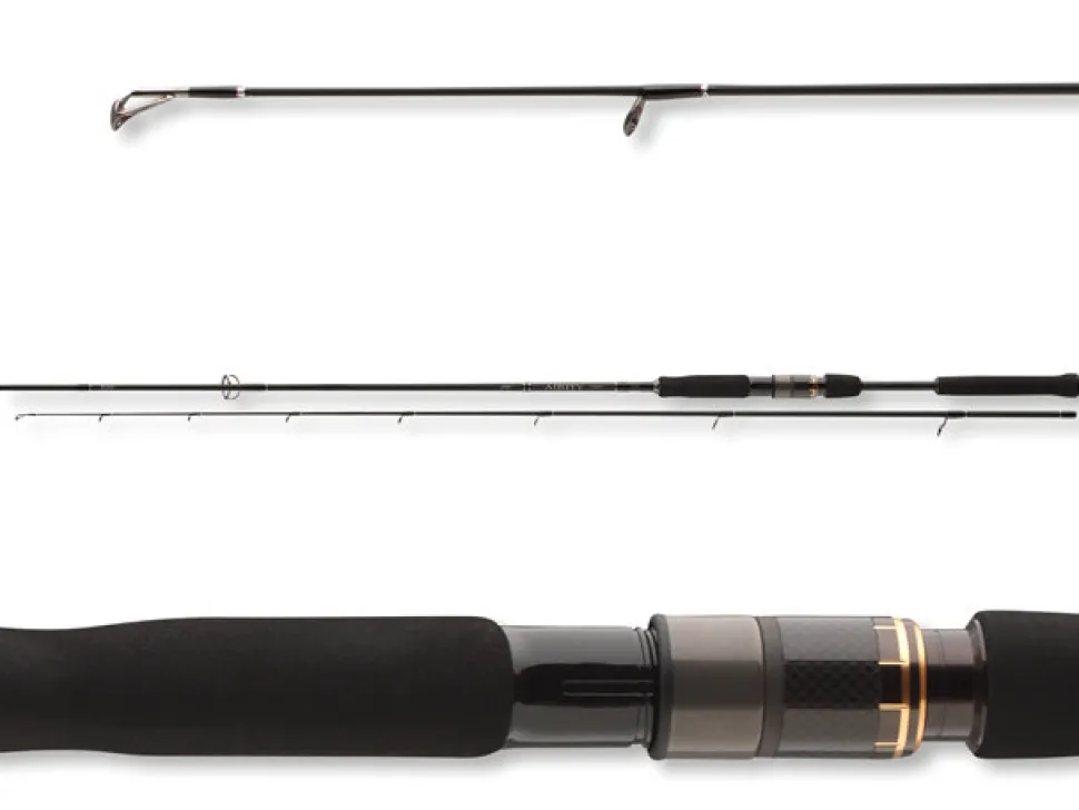 Daiwa Airity Jigger Spinnrute Jigrute Gummifischrute Raubfischangeln versch. Länge und Wurfgewicht