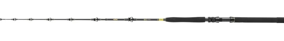 Daiwa BG Big Game 1,68m 30-50lbs Big Game Bootsrute
