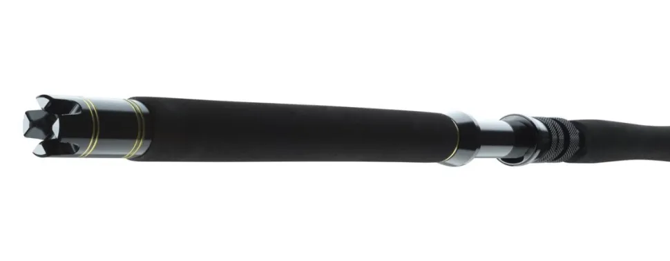 Daiwa BG Big Game 1,68m 30-50lbs Big Game Bootsrute