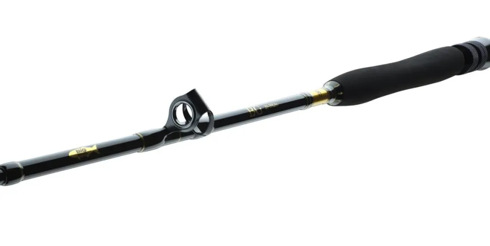 Daiwa BG Big Game 1,68m 30-50lbs Big Game Bootsrute