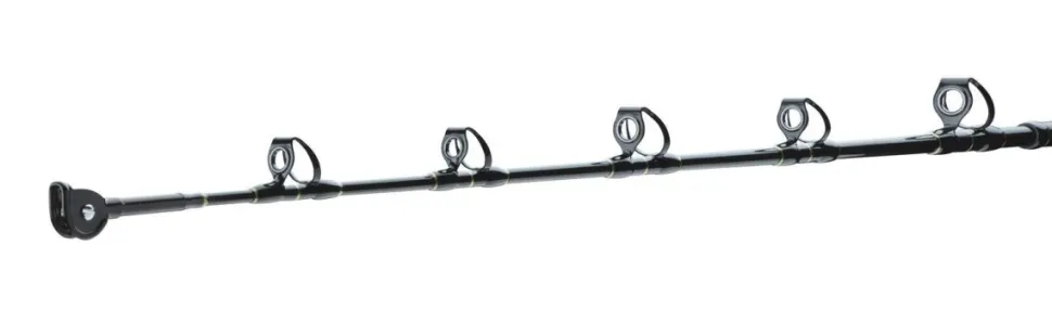 Daiwa BG Big Game 1,68m 30-50lbs Big Game Bootsrute