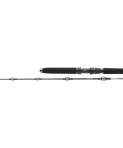 Daiwa BG Deep Sea 2,20m / 150-300g / 30lbs Meeresrute Bootsrute Pilkrute