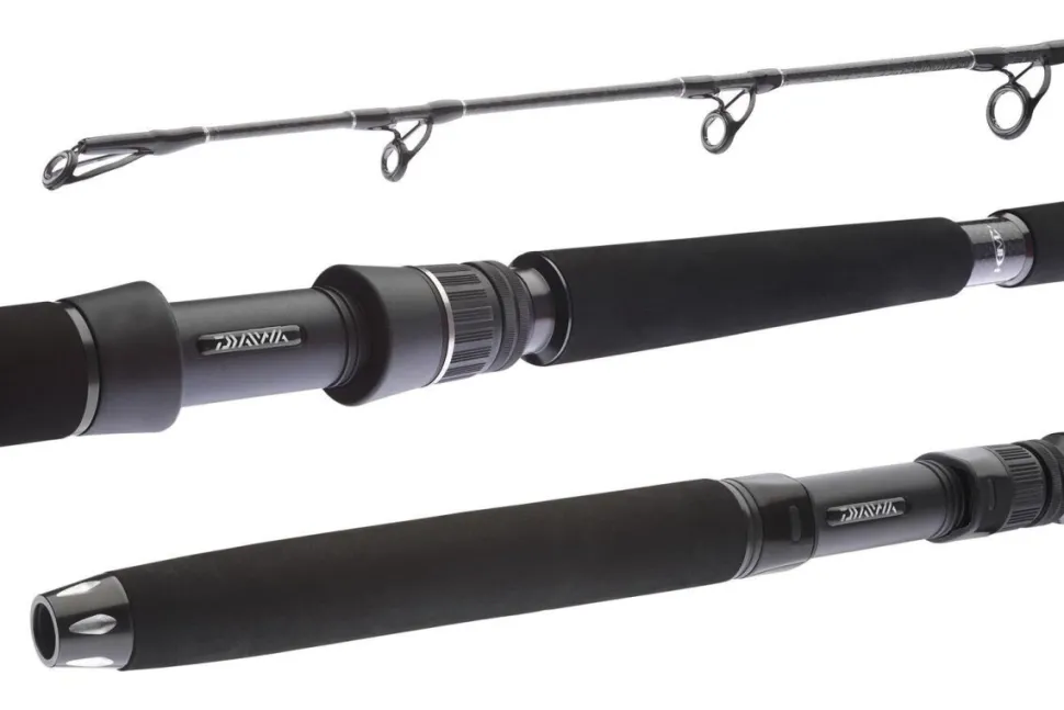 Daiwa BG Deep Sea 1,75m 30lbs Meeresrute Bootsrute Tiefseeangeln