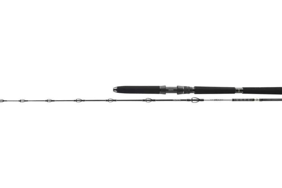 Daiwa BG Deep Sea 1,75m 30lbs Meeresrute Bootsrute Tiefseeangeln