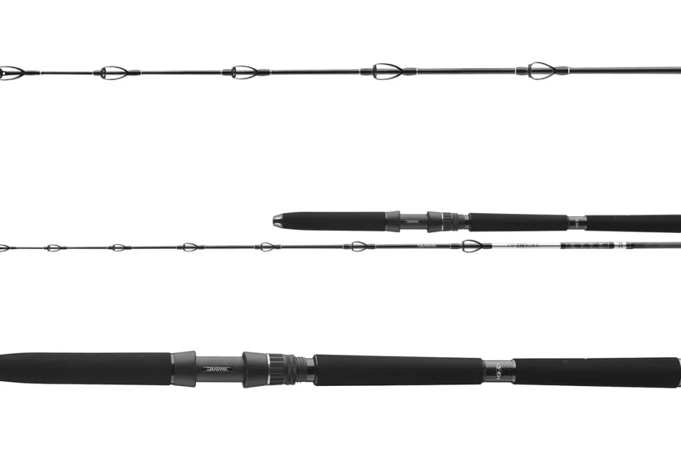Daiwa BG Deep Sea 1,75m 30lbs Meeresrute Bootsrute Tiefseeangeln