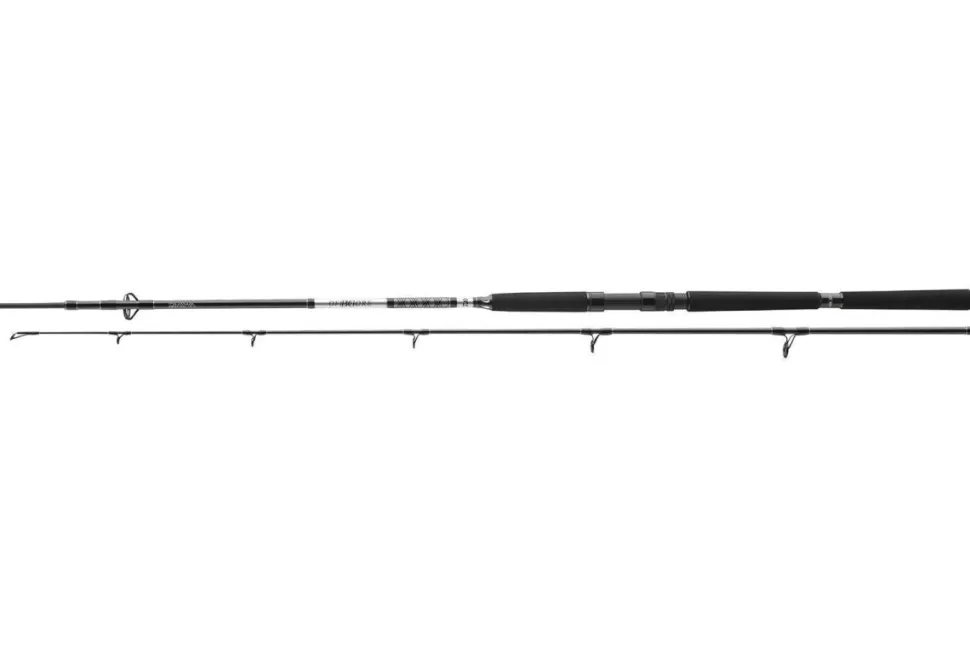 Daiwa BG Offshore Pilk 2,70m / 50-165g Bootsrute Pilkrute Meeresrute