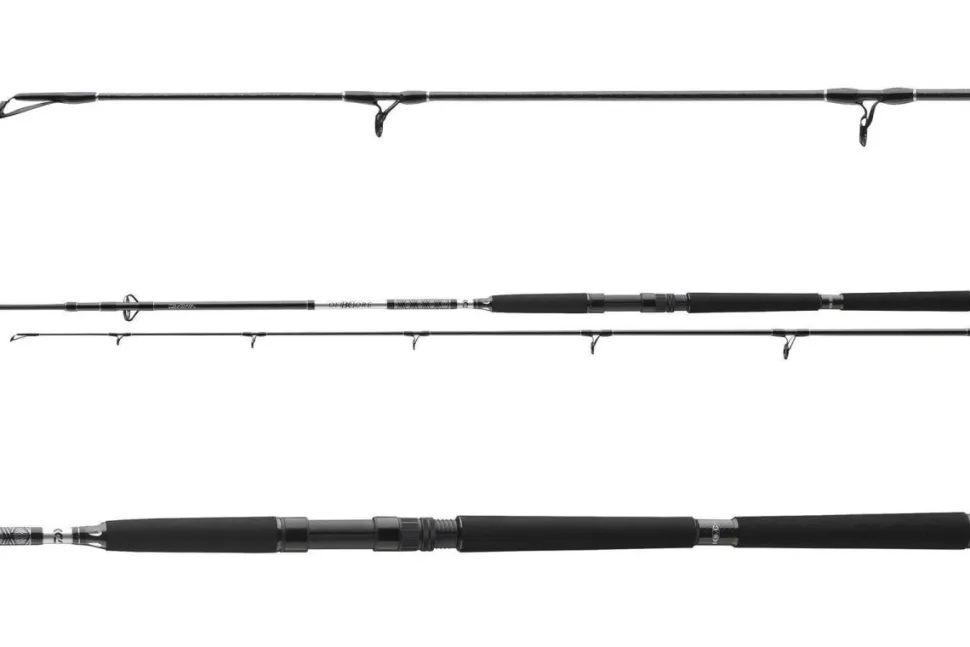 Daiwa BG Offshore Pilk 2,70m / 50-165g Bootsrute Pilkrute Meeresrute