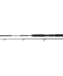 Daiwa BG Offshore Pilk 2,40m / 40-125g Bootsrute Pilkrute Meeresrute