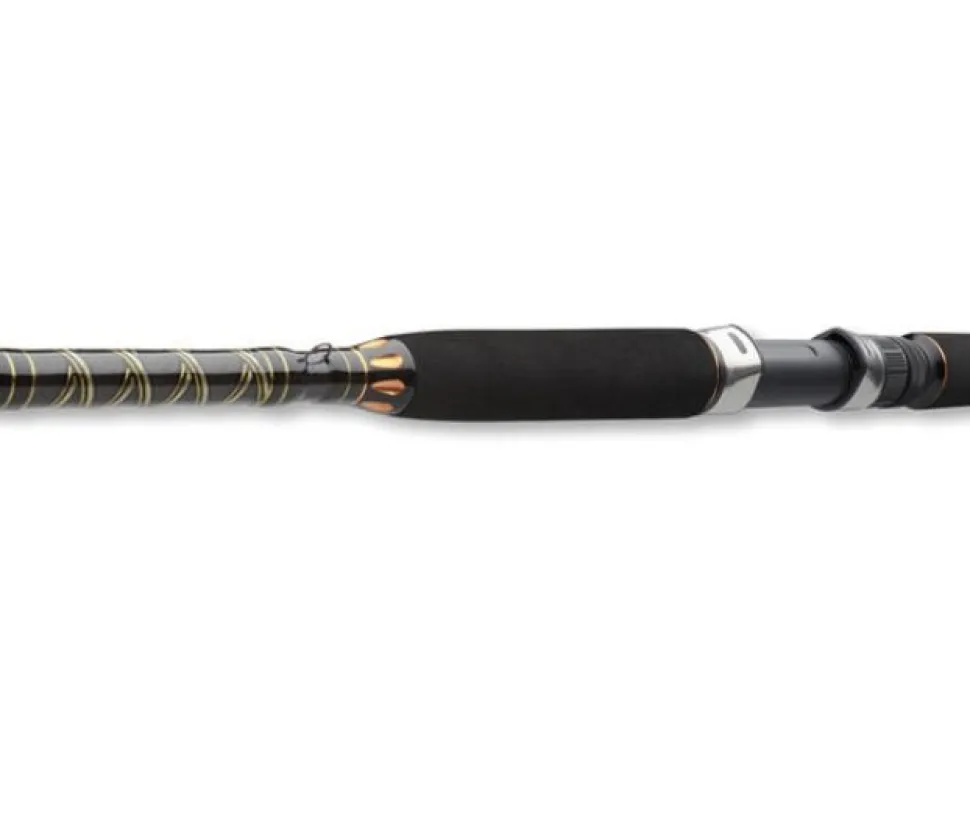 Daiwa BG Pilk 2,70m 40-125g Bootsrute Meeresrute