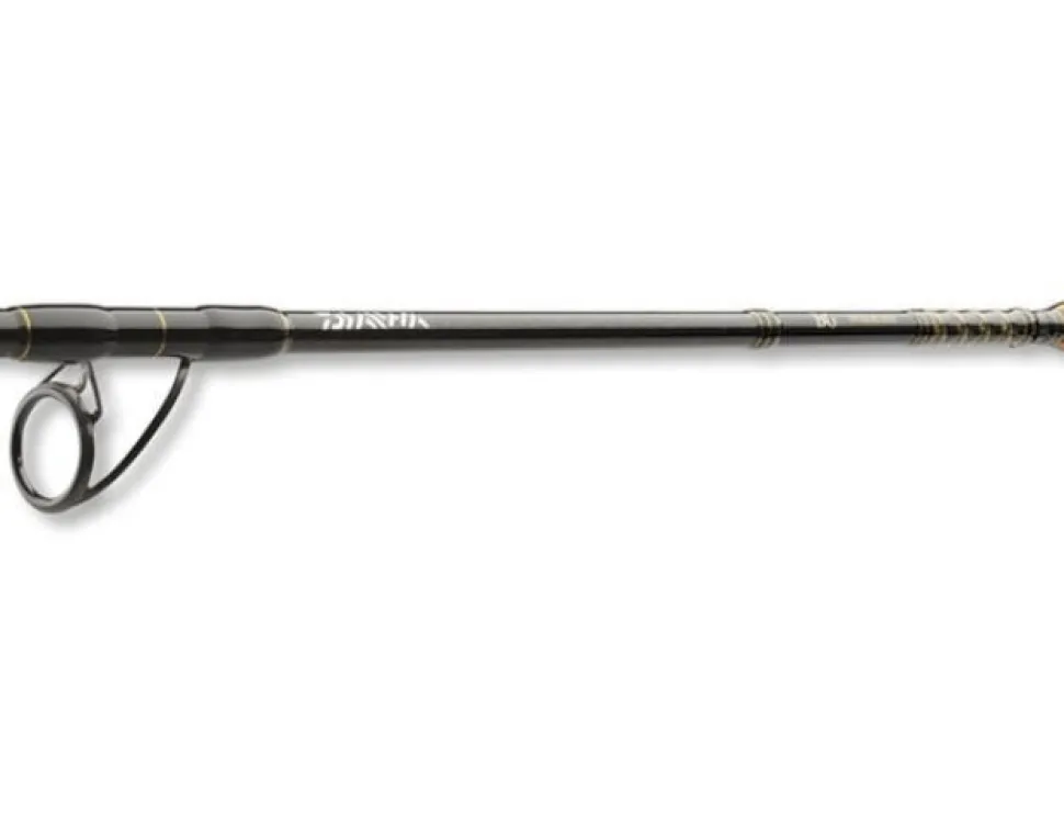 Daiwa BG Pilk 2,70m 40-125g Bootsrute Meeresrute