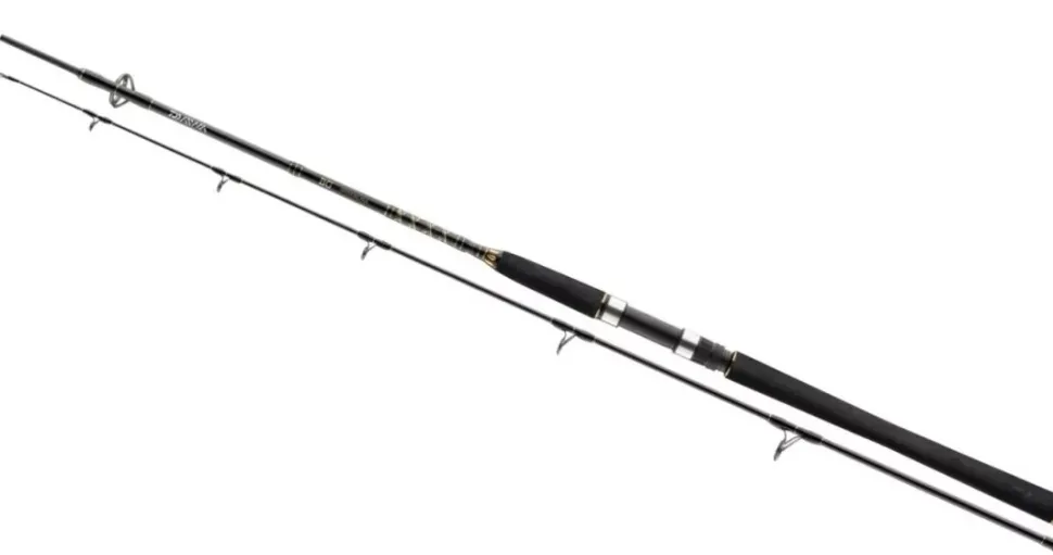Daiwa BG Pilk 2,70m 40-125g Bootsrute Meeresrute