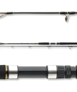 Daiwa BG Pilk 2,70m 40-125g Bootsrute Meeresrute