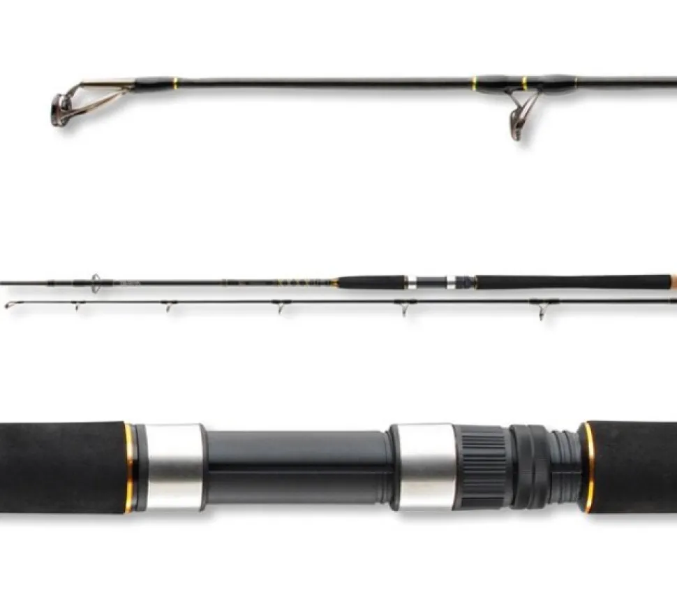 Daiwa BG Pilk 2,70m 40-125g Bootsrute Meeresrute