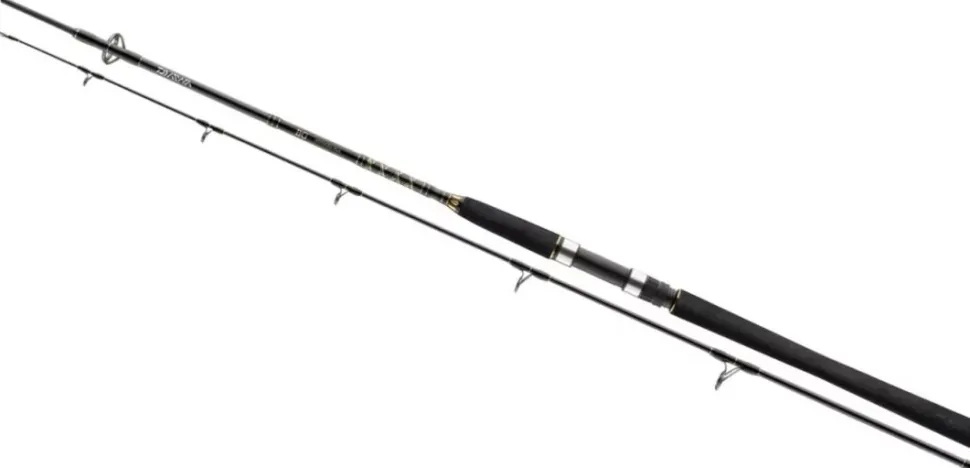 Daiwa BG Popper 2,30m 40-150g Bootsrute Meeresrute