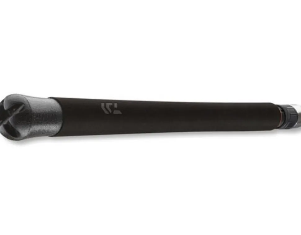 Daiwa BG Popper 2,30m 40-150g Bootsrute Meeresrute