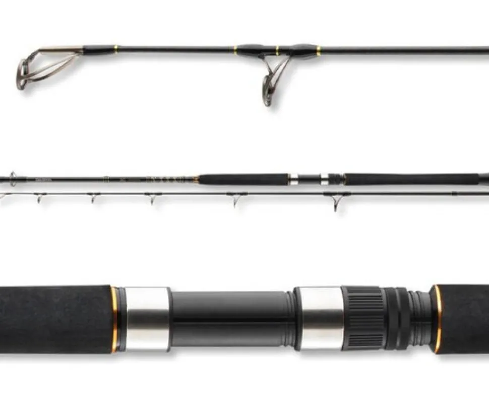 Daiwa BG Popper 2,30m 40-150g Bootsrute Meeresrute