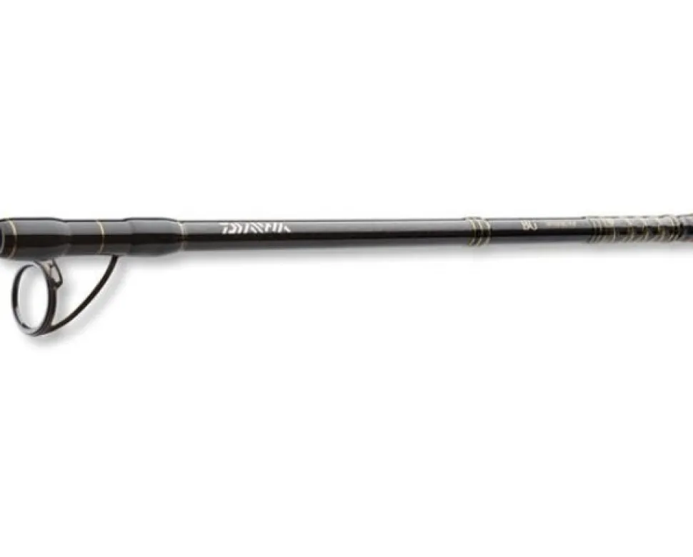 Daiwa BG Popper 2,30m 40-150g Bootsrute Meeresrute