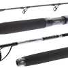 Daiwa BG Sea Jigger 1,70m 150-400g Meeresrute Pilkrute Bootsrute Speedjigrute