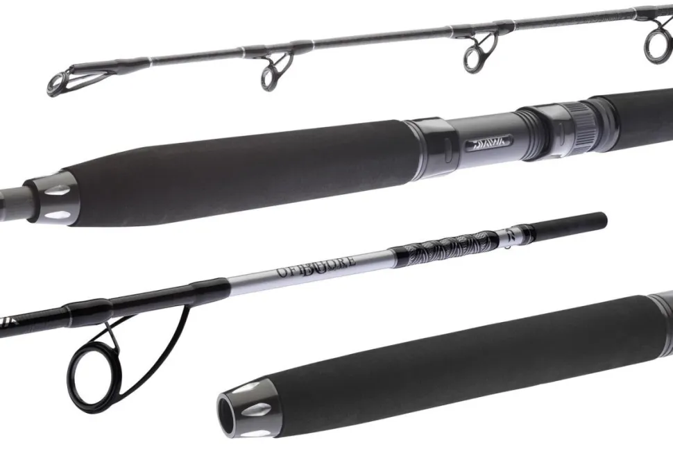 Daiwa BG Sea Jigger 1,70m 150-400g Meeresrute Pilkrute Bootsrute Speedjigrute