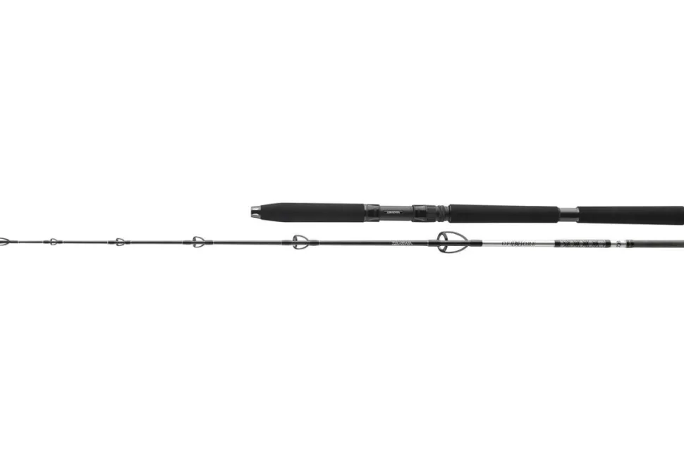 Daiwa BG Sea Jigger 1,70m 150-400g Meeresrute Pilkrute Bootsrute Speedjigrute