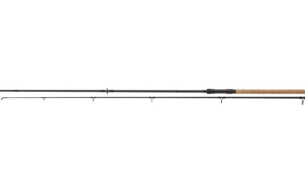 Daiwa Black Widow XT Bait 3,00m 20-60g Allround Grundrute 2-teilig Allroundrute