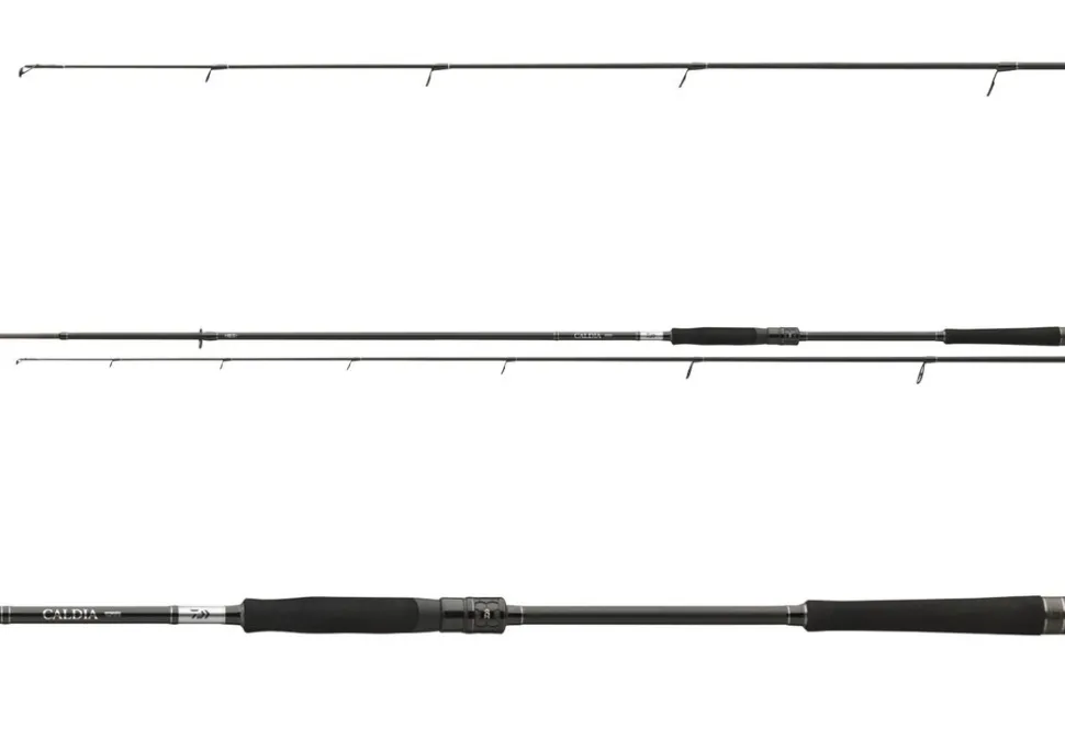 Daiwa Caldia Extra Fast Spin Spinnrute
