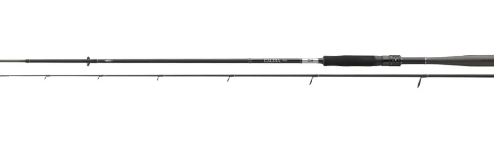 Daiwa Caldia Sensor Jig Spinnrute Gummifischrute