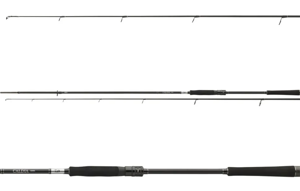 Daiwa Caldia Sensor Jig Spinnrute Gummifischrute