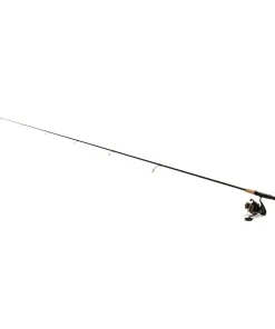 Daiwa Combo BG INSHORE Spinning 701M 2,13m 10-60g Spinrute + BG 3000 Rolle Set