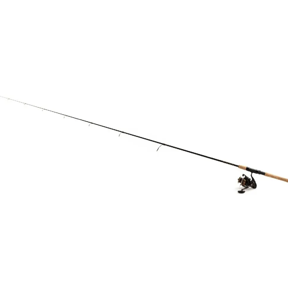 Daiwa Combo BG INSHORE Spinning 701M 2,13m 10-60g Spinrute + BG 3000 Rolle Set