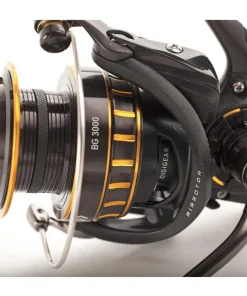 Daiwa Combo BG INSHORE Spinning 701M 2,13m 10-60g Spinrute + BG 3000 Rolle Set