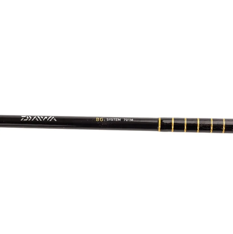Daiwa Combo BG INSHORE Spinning 701M 2,13m 10-60g Spinrute + BG 3000 Rolle Set