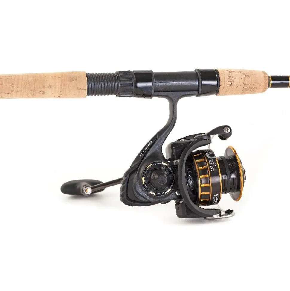 Daiwa Combo BG INSHORE Spinning 701M 2,13m 10-60g Spinrute + BG 3000 Rolle Set